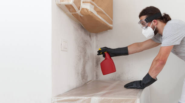 Professional Mold Testing technician working in Woodland, PA